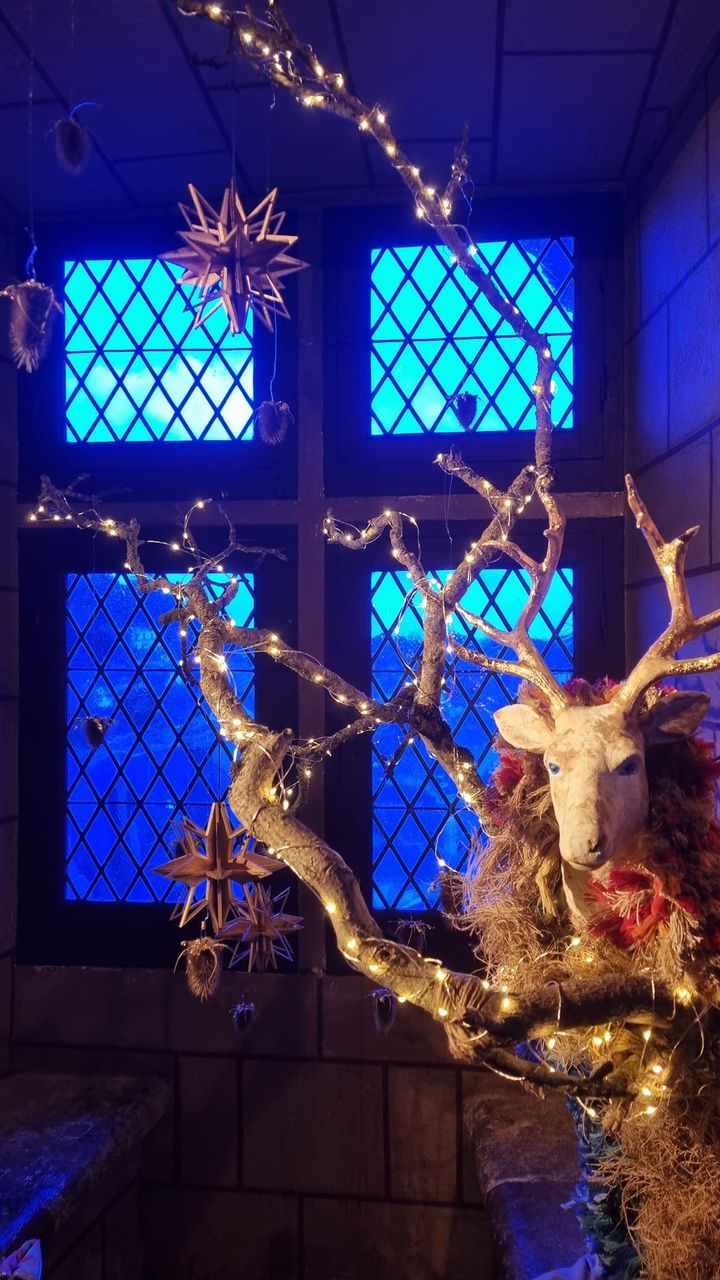 405753124_10232353783970572_6202892054333152188_n